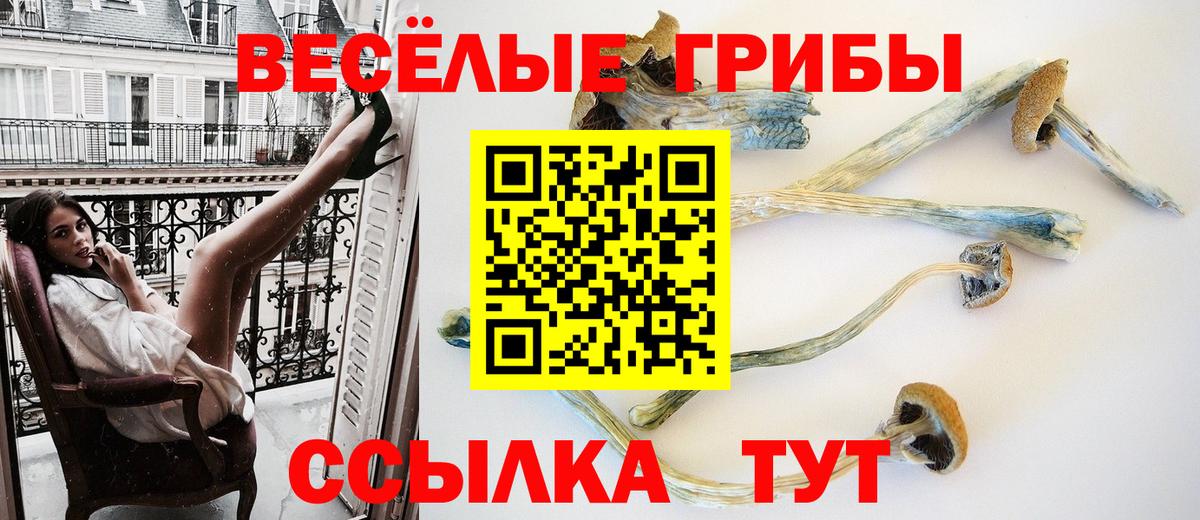 Тихорецк  Псилоцибиновые грибы мицелий  Псилоцибиновые грибы мицелий  Вход с VPN 